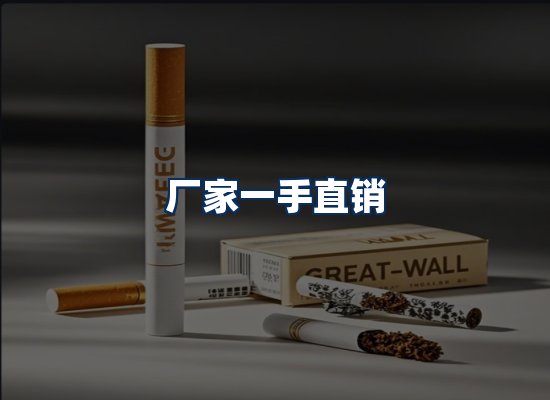 专业团队办公环境